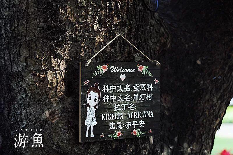 阳光女孩装扮