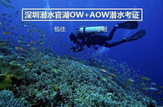 二手机械进口清关代理|二手六色印刷机进口如何清关