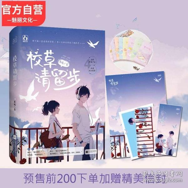 圣女战旗